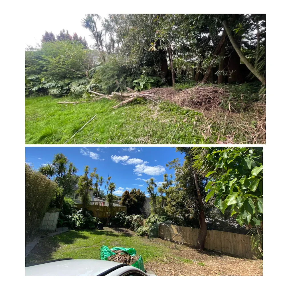 Before and after an Ironwood garden clean-up, showing cleared branches and a tidier lawn
