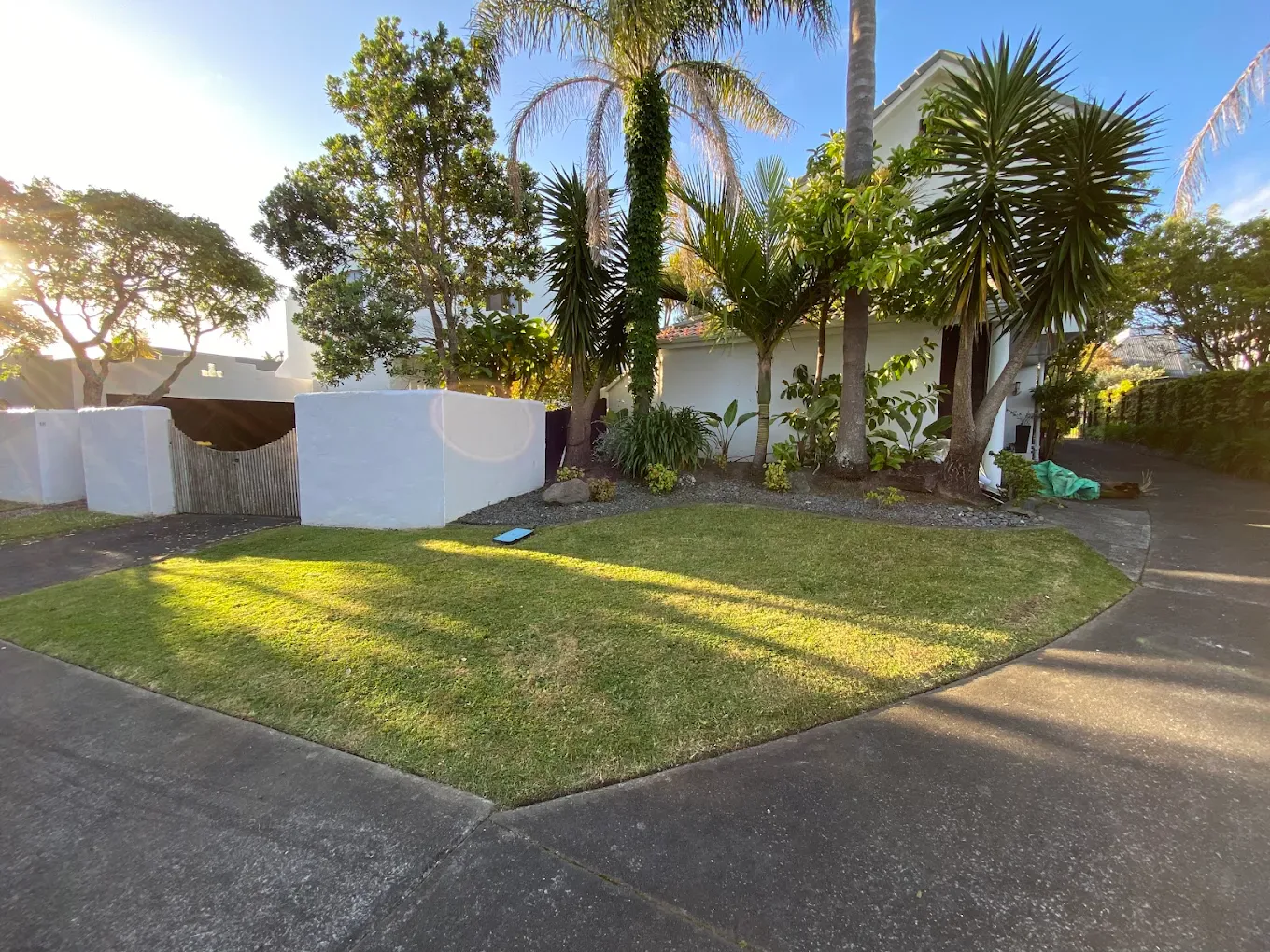 A lawn maintained by Ironwood Landscaping in Auckland
