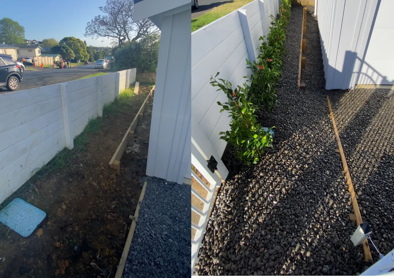 Before and after an Ironwood garden project with young hedge plants beside a white fence